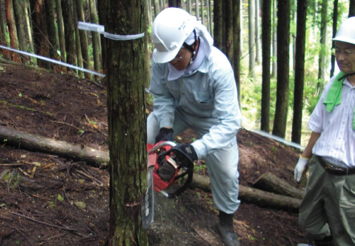 和歌山県熊野川にて営林実習 第一次産業の現場を研修
